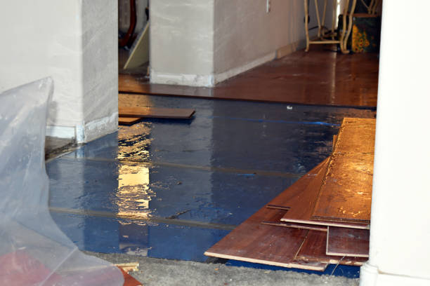 Professional Water Damage Repair technician working in Coloma, WI